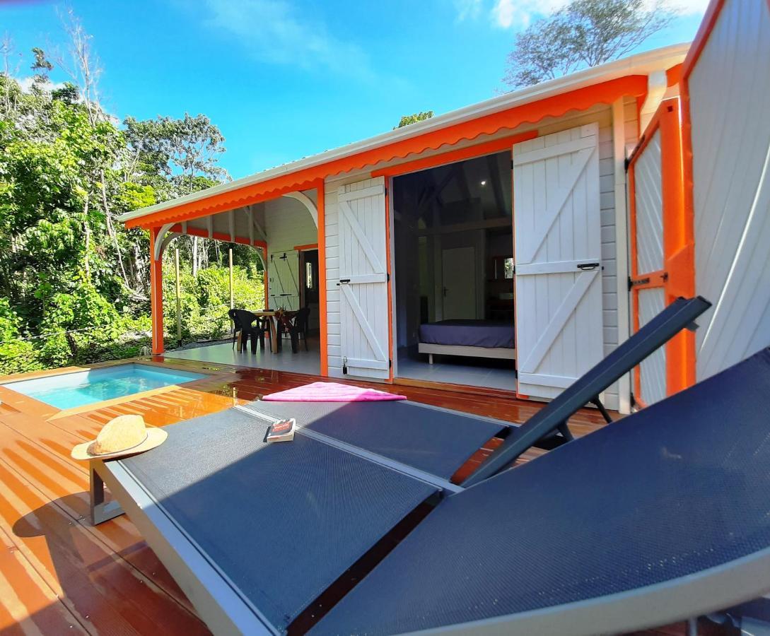 Caraibes Cottages Corail Piscine Privee A 900M De La Plage De Grande Anse Deshaies Εξωτερικό φωτογραφία