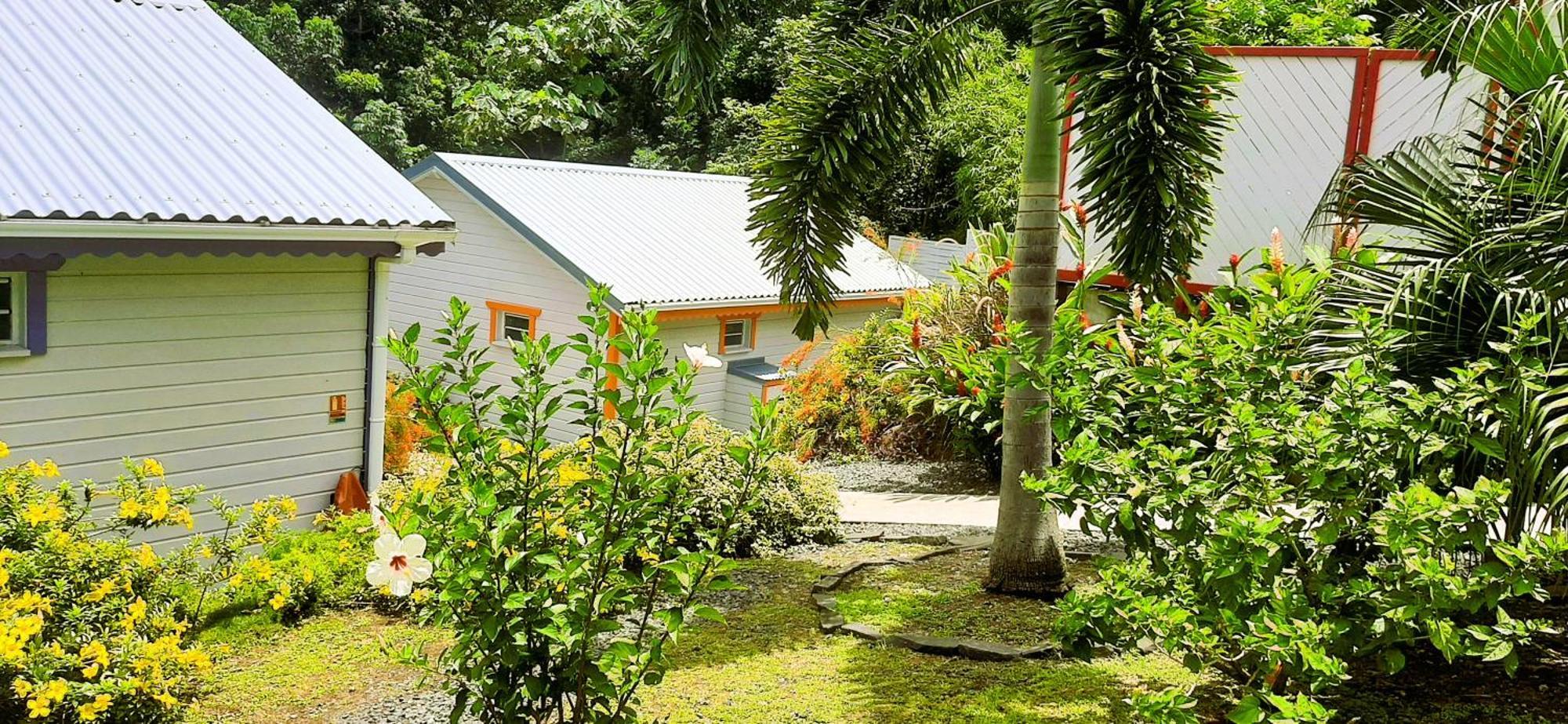 Caraibes Cottages Corail Piscine Privee A 900M De La Plage De Grande Anse Deshaies Εξωτερικό φωτογραφία