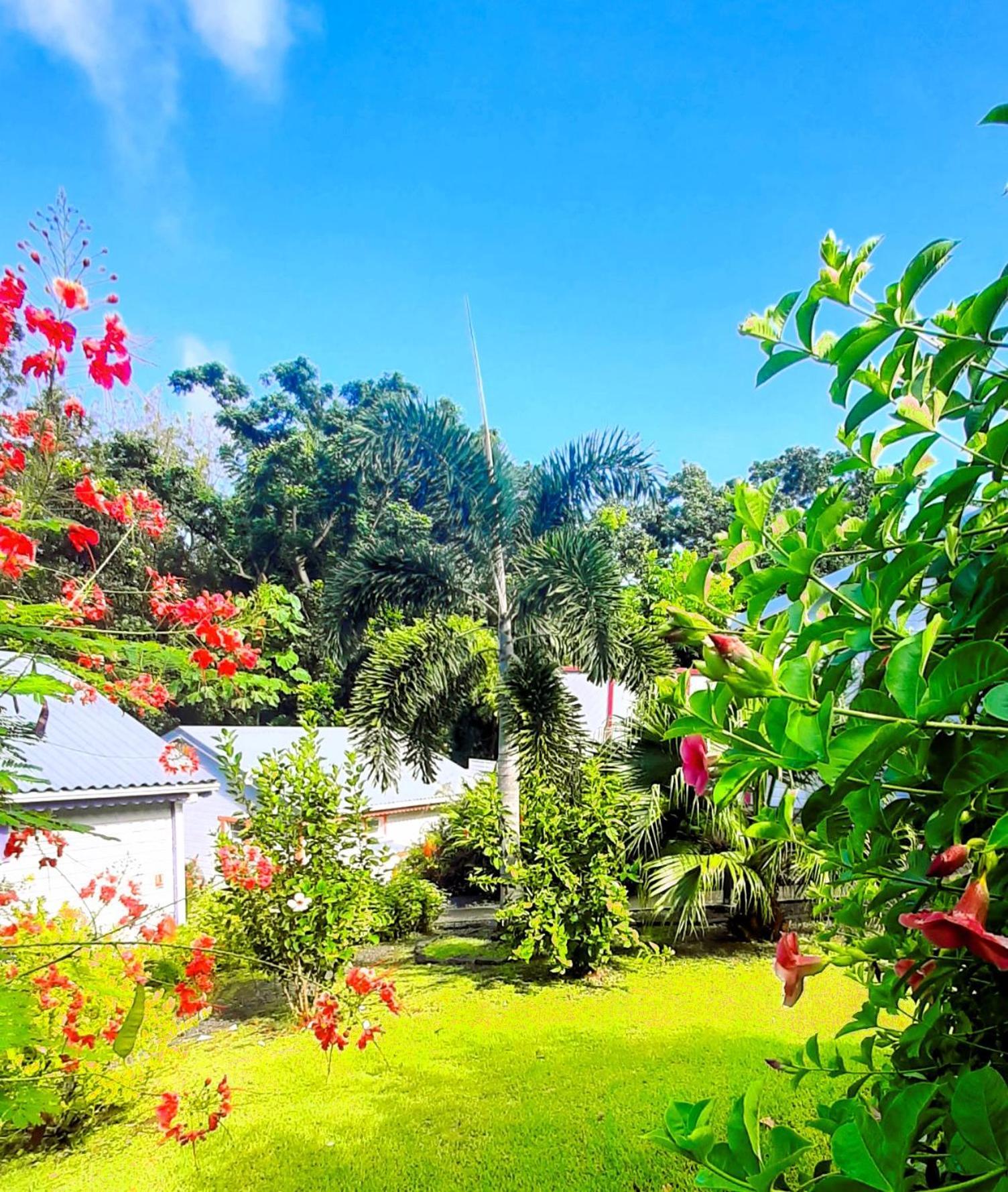 Caraibes Cottages Corail Piscine Privee A 900M De La Plage De Grande Anse Deshaies Εξωτερικό φωτογραφία